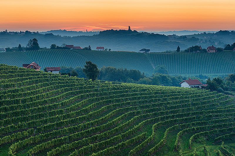 Znamy zwycięzców konkursu International Garden Photographer of the Year 2016 16