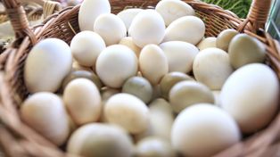 To dietetyczny wzorzec doskonałości, bardziej odżywczy niż kurze