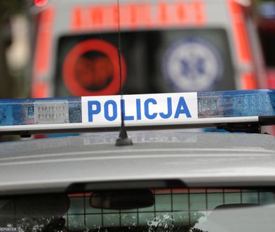 Makabryczne odkrycie koło Warszawy. Zwłoki przy centrum handlowym