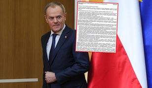 Kryzys branży turystycznej z Puszczy Białowieskiej. Przedsiębiorcy apelują do premiera
