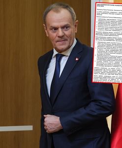 Kryzys branży turystycznej z Puszczy Białowieskiej. Przedsiębiorcy apelują do premiera