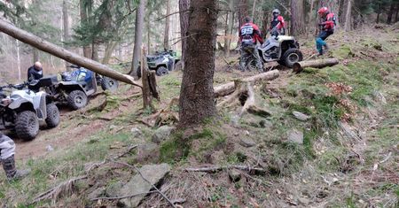 Plaga polskich lasów. Straż tropiła ich przez 30 kilometrów