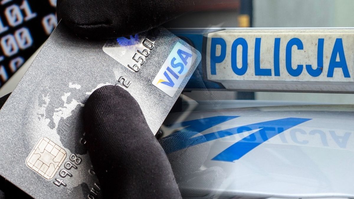 Plaga cyberoszustw na Śląsku