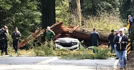 Potworna tragedia. Zginęli jadąc na urodzinowe przyjęcie