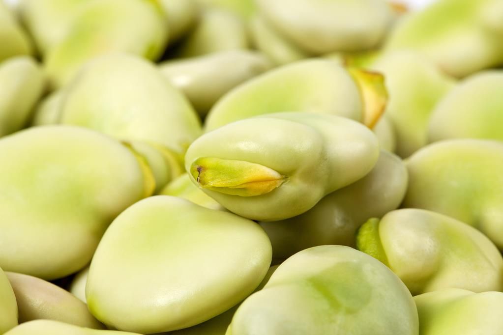 Kalorie w bobie to nie wszystko. Bób jest bogatym źródłem składników odżywczych.