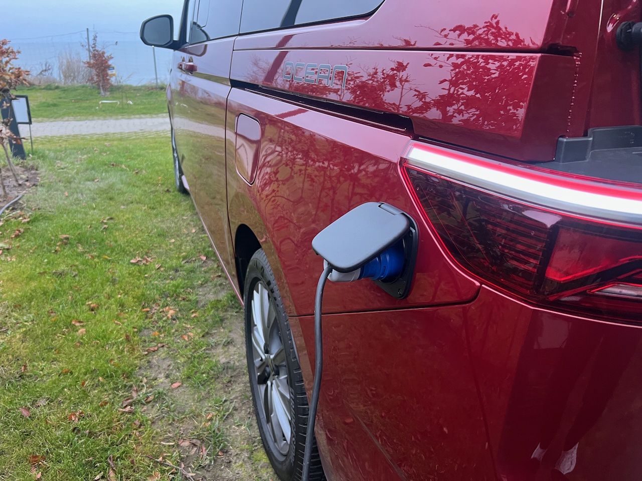 VW California T7 Ocean