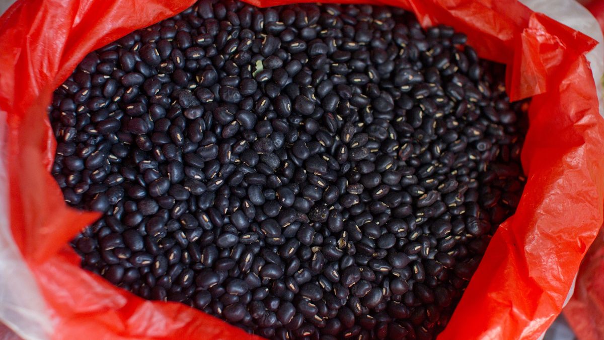 Black bean in plastic bagBlack bean for sale in plastic bag at farmer market, Hanoi, Vietnam.Nga Nguyen