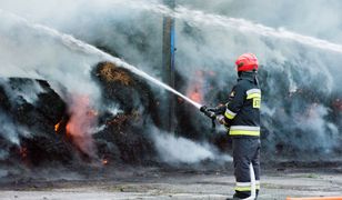 Strażacy ochotnicy podpalali, by zarobić? Ruszył proces
