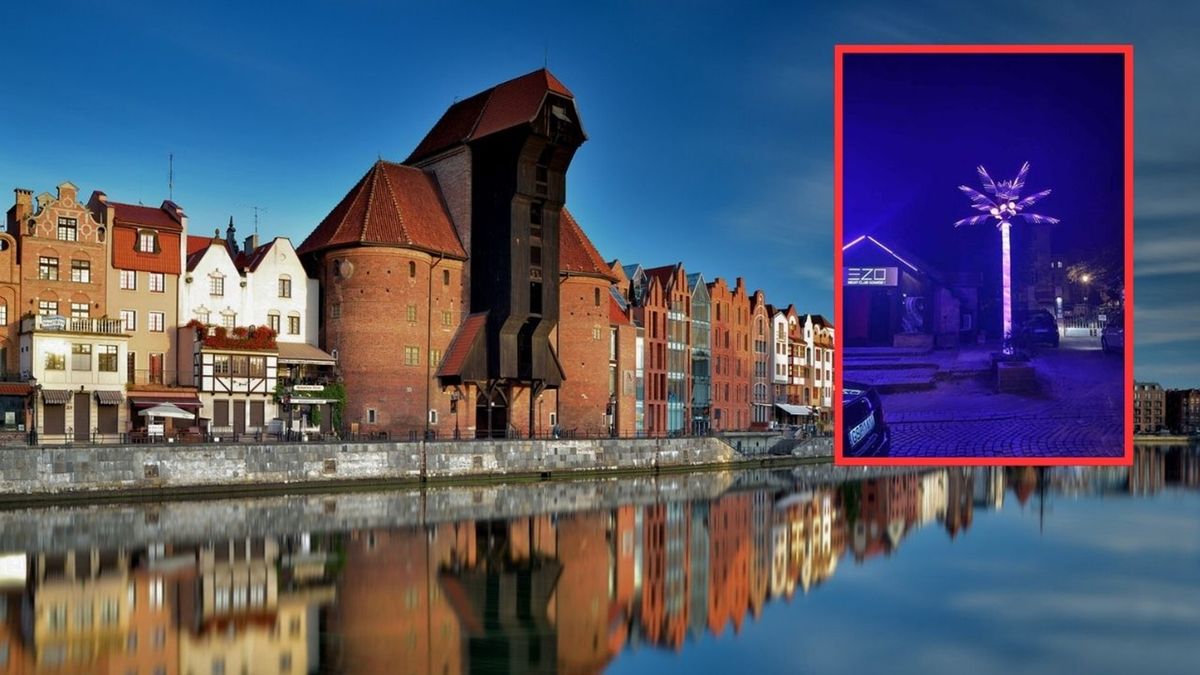 Plastikowa palma stanęła w centrum Gdańska