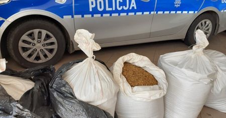 Bolesławiec. Nielegalny tytoń w rękach policjantów. Zabezpieczono prawie 100 kilogramów