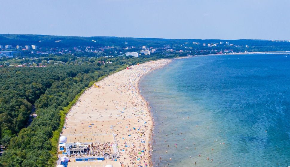 Wakacje 2021. Sinice w Zatoce Gdańskiej. Dwa kąpieliska zamknięte