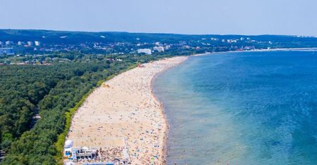 Wakacje 2021. Sinice w Zatoce Gdańskiej. Dwa kąpieliska zamknięte
