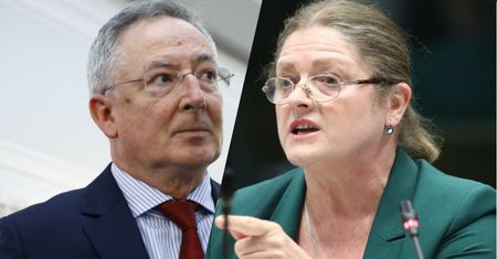Pawłowicz odpowiada Sienkiewiczowi. "Niepodważalne"