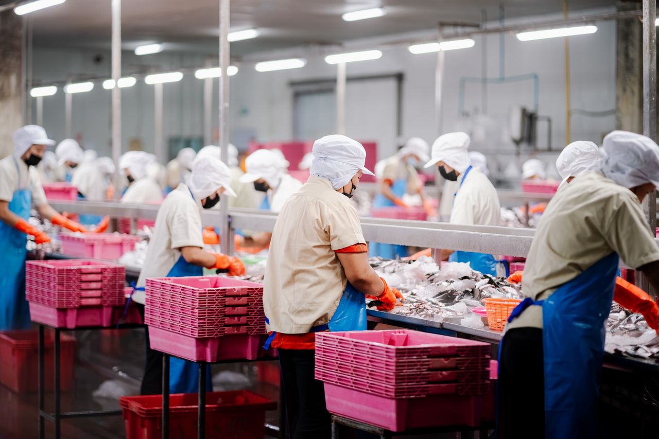 Producent sałatek kończy działalność. 200 osób straci pracę