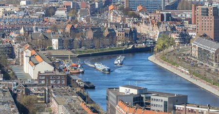 "Nawet kanały Rotterdamu są lepsze niż ulice Warszawy". Burza w Holandii