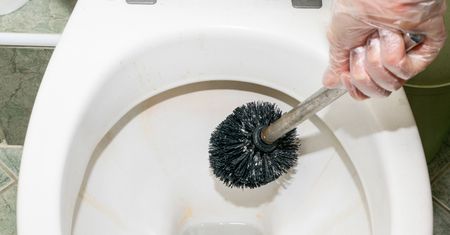 Wrzuć do toalety i odczekaj. Wyszoruj szczotką, a będzie lśnić jak hotelowa