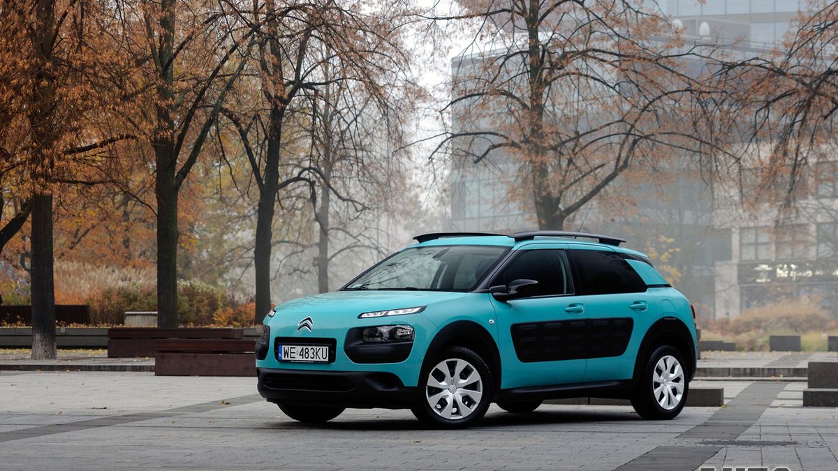 Zdjęcie ilustracyjne do artykułu