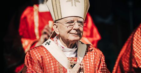 Abp Jędraszewski ws. in vitro. "Człowiek nie jest produktem"