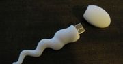 Pendrive plemnikokształtny
