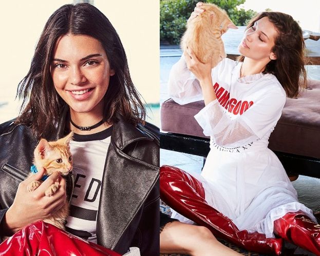 Kendall Jenner i Bella Hadid pozują z kotkami