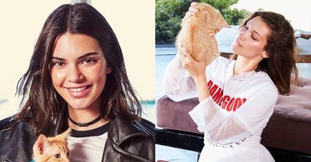 Kendall Jenner i Bella Hadid pozują z kotkami
