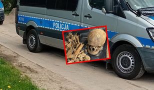 Ludzkie czaszki w walizce. Prokuratura w Ostródzie nie ma sprawcy