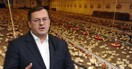 Rząd szykuje "Lex Smród". Mieszkańcy i organizacje biją na alarm