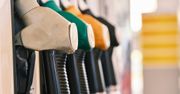 Benzyna lub diesel. Jesteś specjalistą?