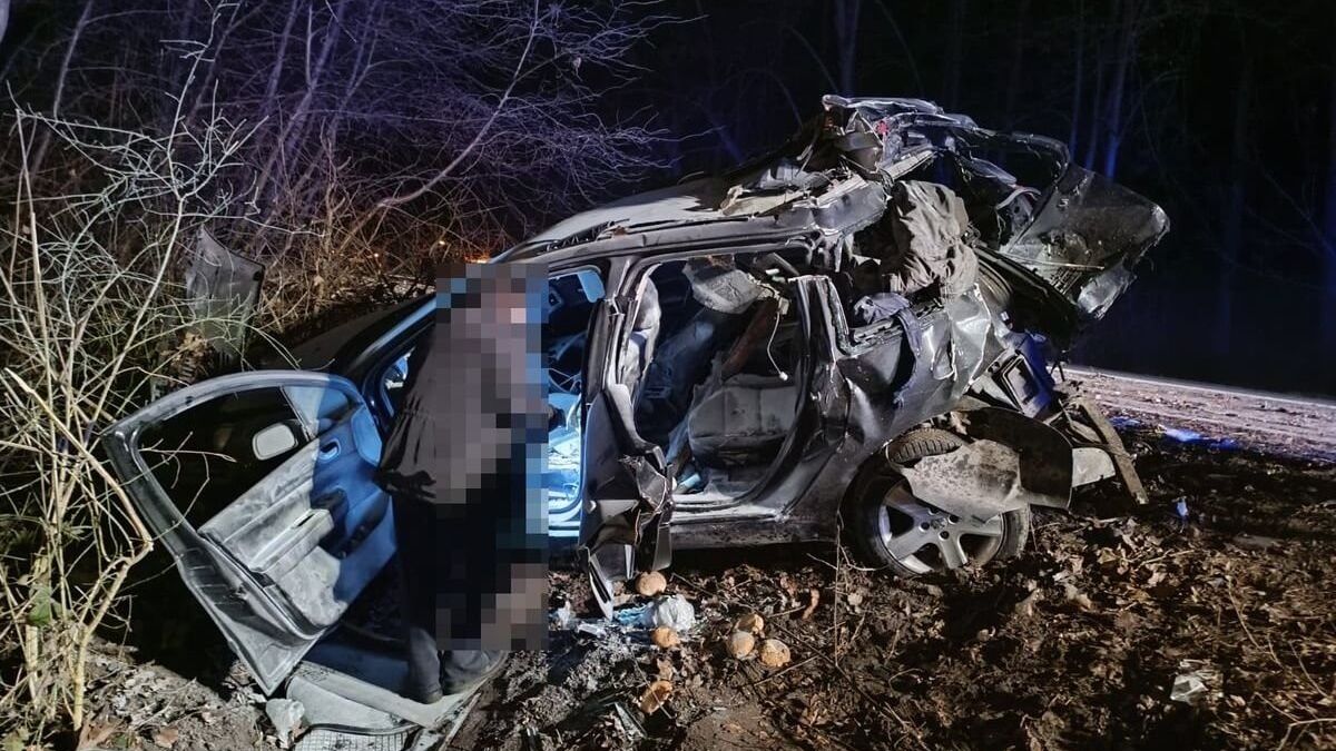 Peugeot roztrzaskał się na drzewie na ul. Osmolickiej