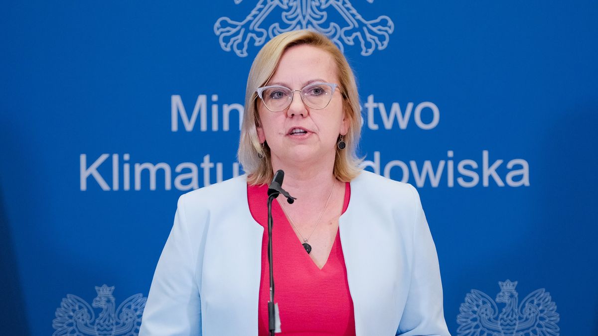 Warszawa, 25.07.2022. Minister klimatu i środowiska Anna Moskwa podczas konferencji prasowej nt. Nadzwyczajnego posiedzenia Rady Unii Europejskiej ds. Energii, 26 bm. w Warszawie. (mr) PAP/Mateusz Marek