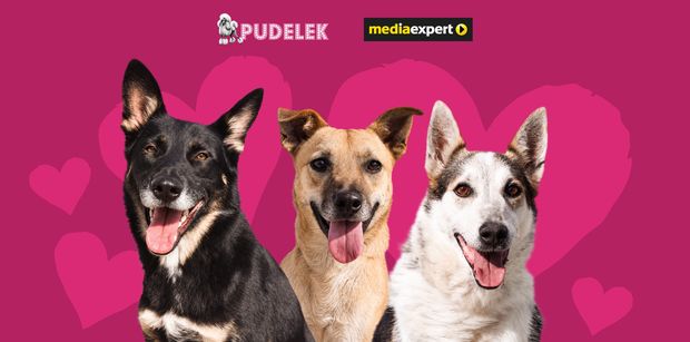 Weź udział w KONKURSIE Pudelka i zgarnij kartę podarunkową od Media Expert!