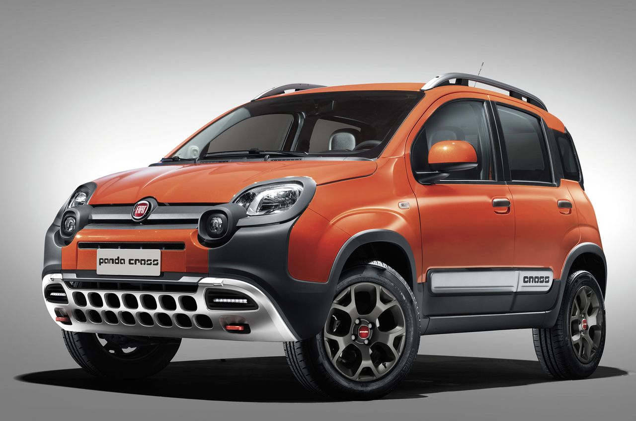 Fiat Panda Cross - niedźwiadek z zębem