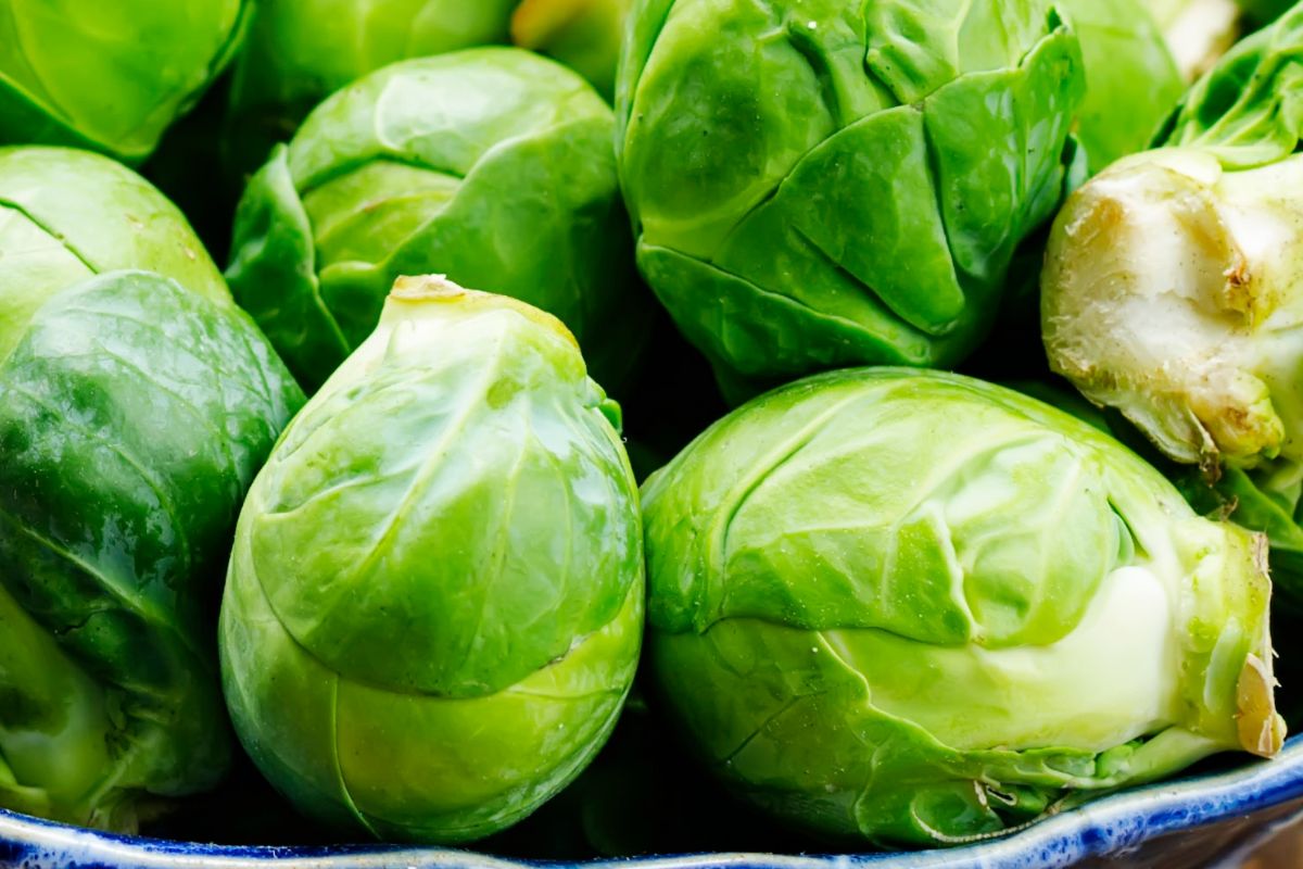 Brussels sprout