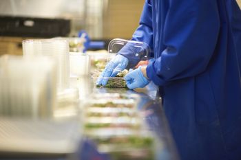 Producent sałatek zamyka zakład i zwalnia całą załogę. Tłumaczy, dlaczego