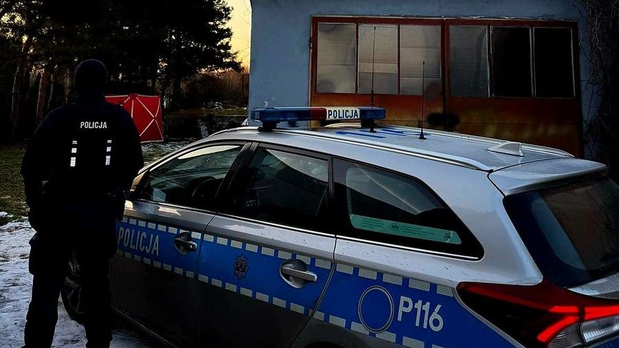 policja