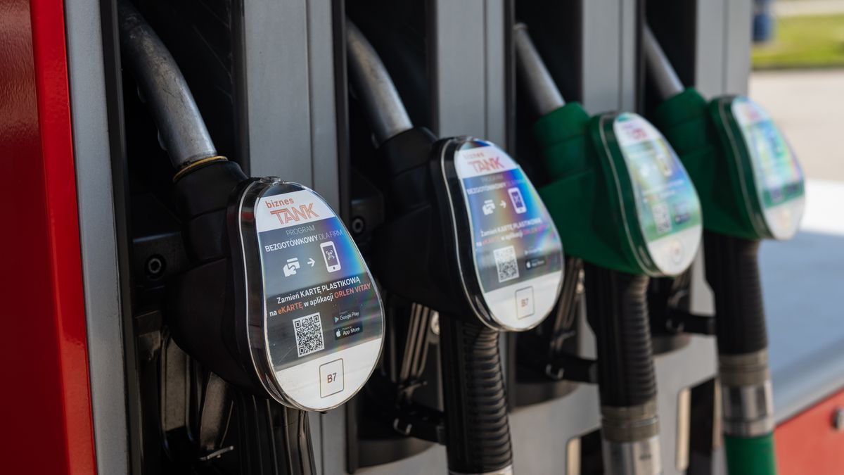 Zdjęcie ilustracyjne do artykułu