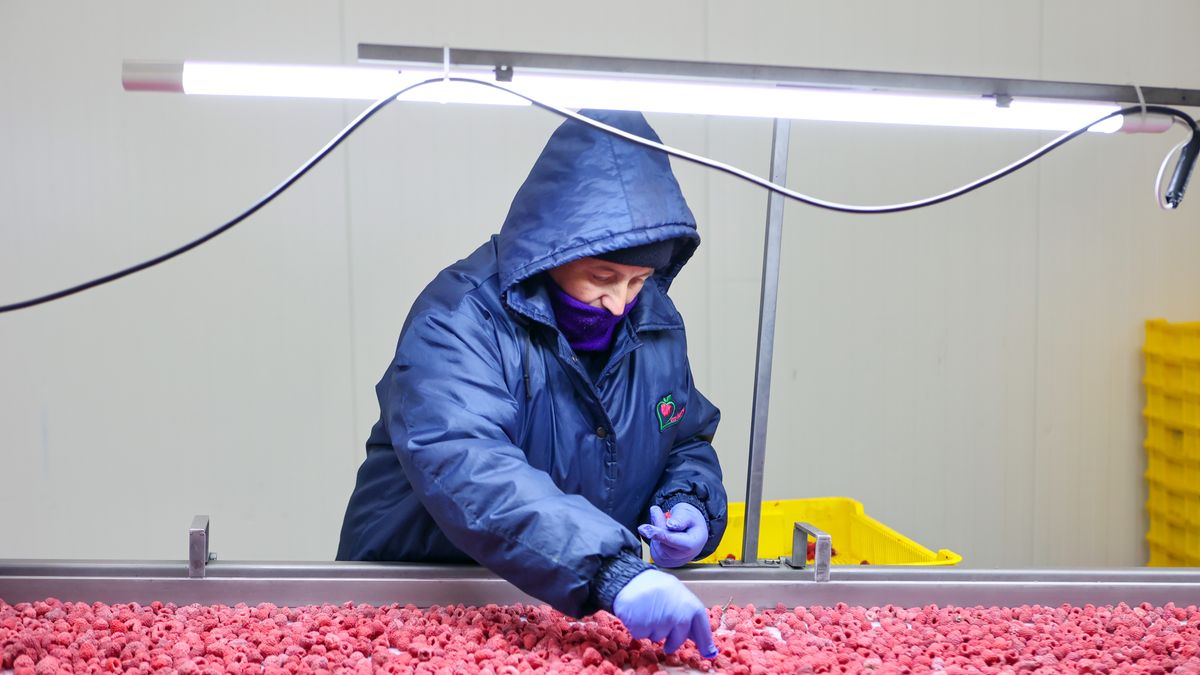 Będą mieszkania zamiast zakładu mrożonek w Kaliszu? Zdj. ilustra