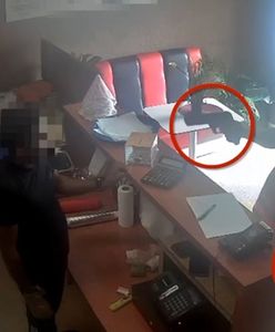 Groził sprzedawcy maczetą i pistoletem. Żądał kebaba