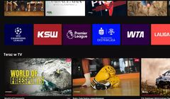 Sport napędza streaming. Nowy raport o rynku VoD