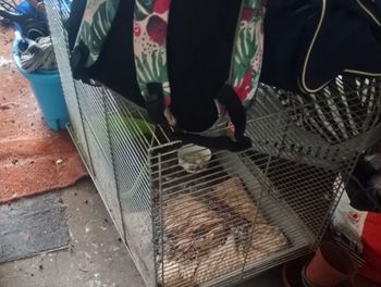 Weszli na poddasze domu w Bukownie. Tak się tłumaczyła kobieta