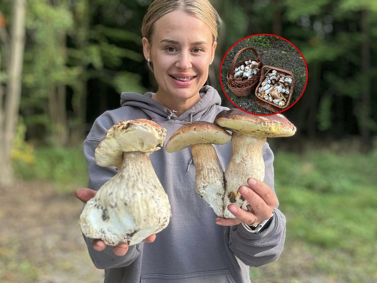 Nie posłuchała innego grzybiarza. "Dwa pełne kosze" borowików