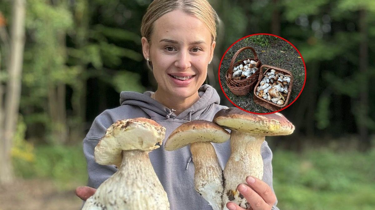 Udane grzybobranie. W lasach jest pełno borowików.