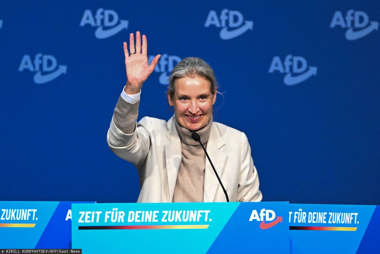 To już oficjalne. AfD najpopularniejszą partią w Niemczech