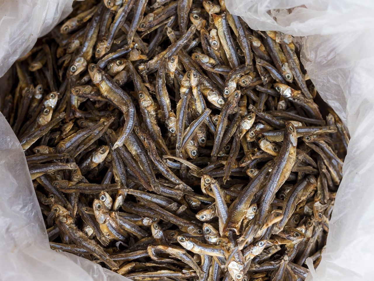 Jest zdrowa, mimo że z puszki. Najlepsza ryba dla serca