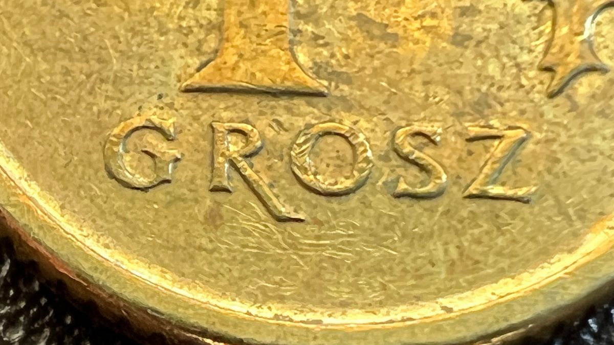 Tryb makro w starszym iPhonie? Żaden problem. Już nie potrzeba iPhone'a 13 Pro 1