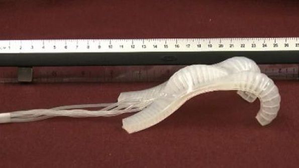 Elastyczny robot, który prześlizgnie się pod Twoimi drzwiami [wideo] 1