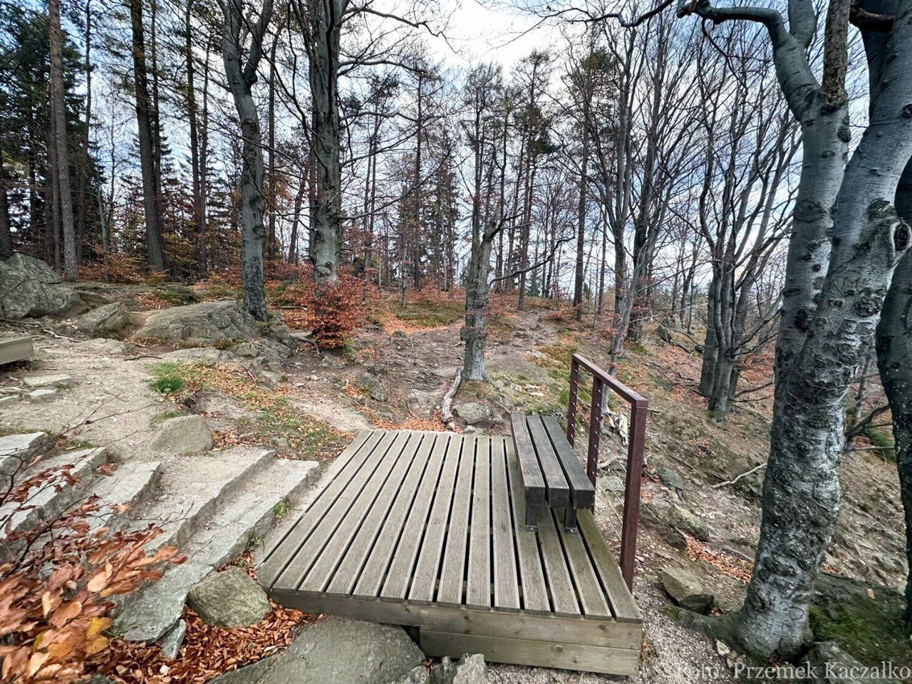 Zakręt Śmierci w Szklarskiej Porębie - czy powstanie tam ścieżka w koronie drzew?