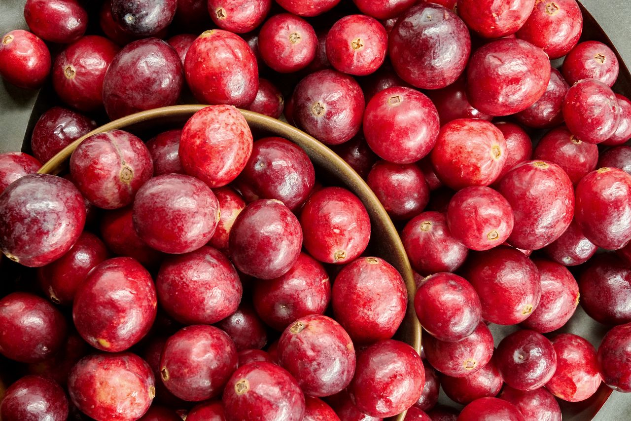 Żurawina i jej faktyczne właściwości