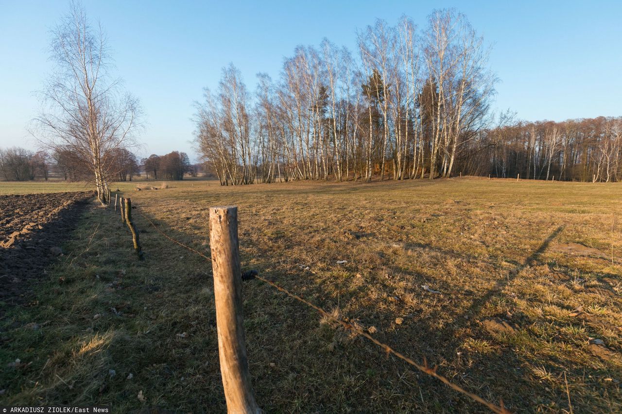 Rolnicy martwią się o uprawy