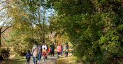Łódź: Weekendowe spacery i nie tylko. Gdzie wybrać się w weekend 25 i 26 października?